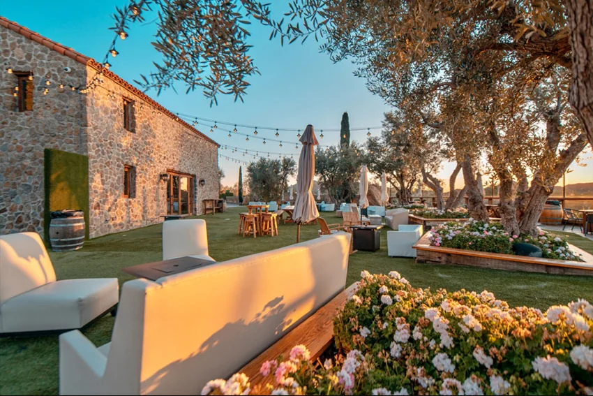 Evenings at The Barn — string lights over the olive-tree patio
