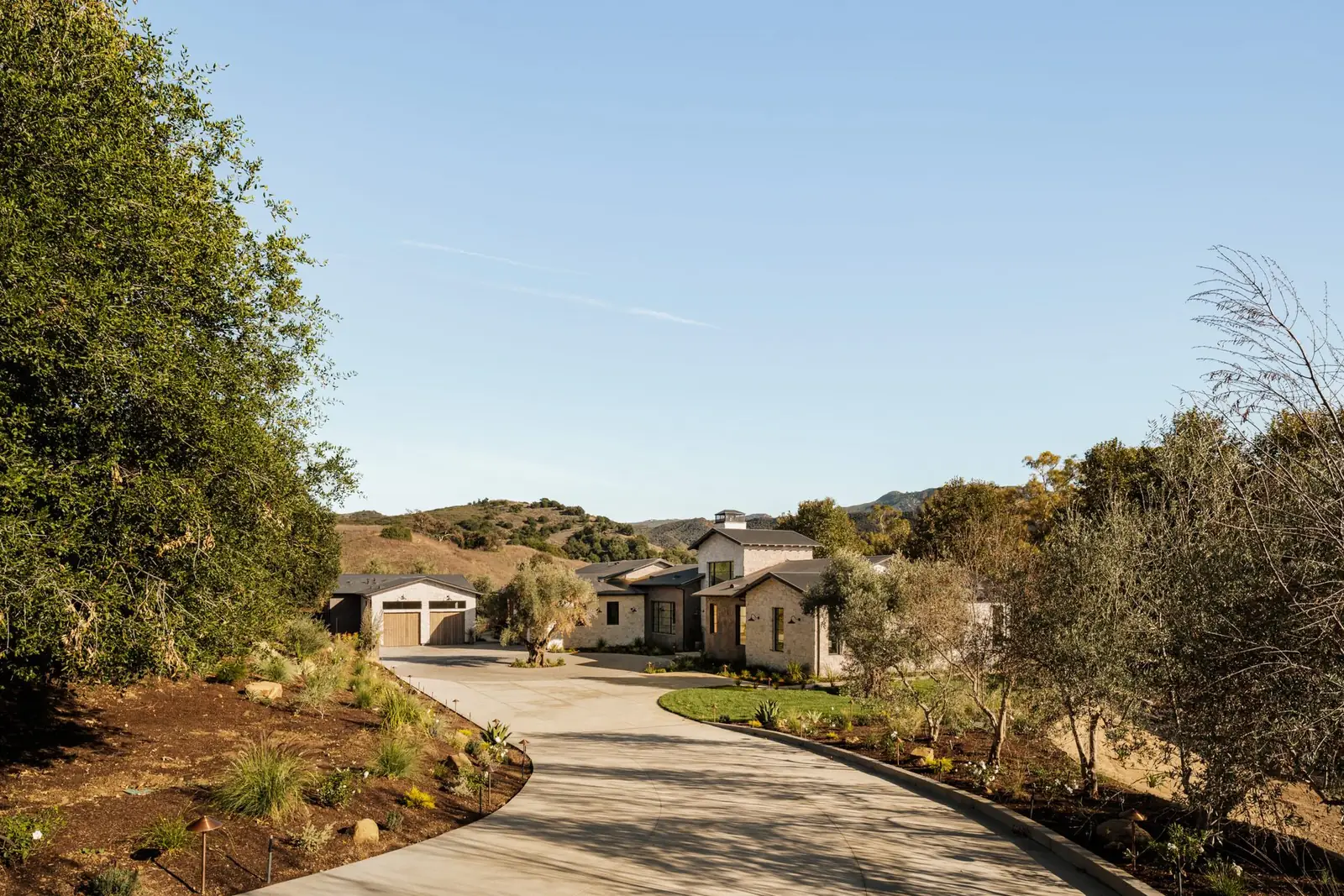 Private drive approach through olive trees