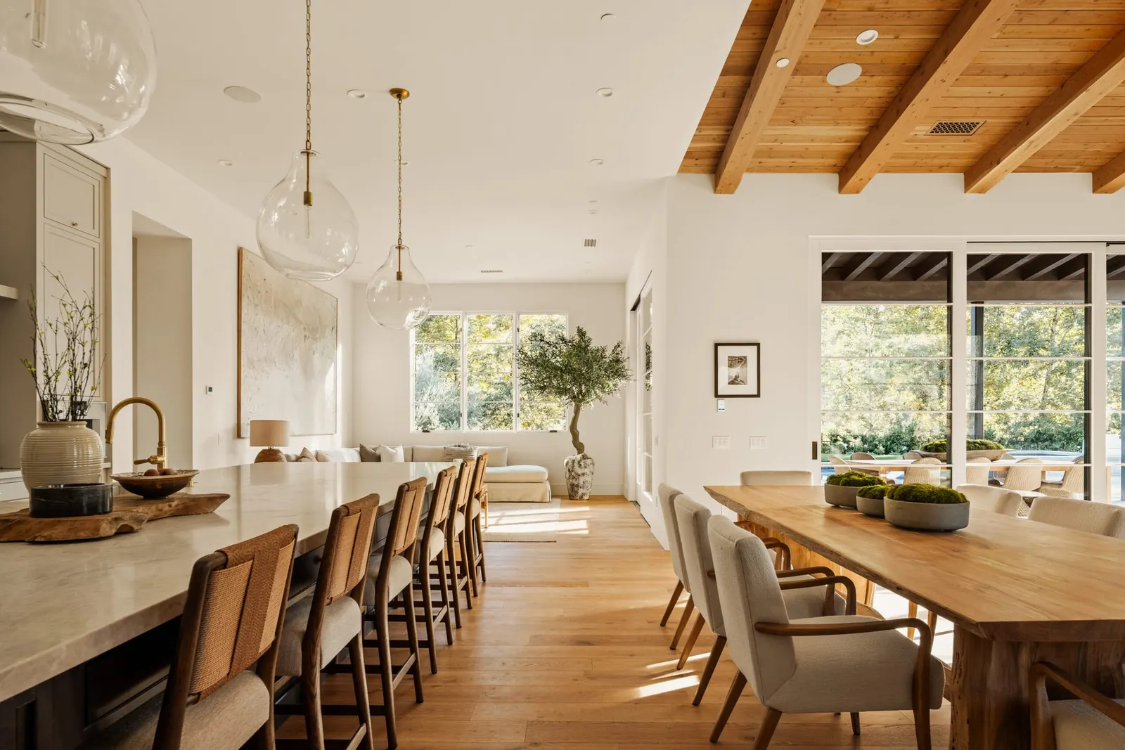 Chef's kitchen and dining room